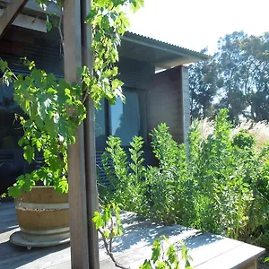 Apartment Side Garden 